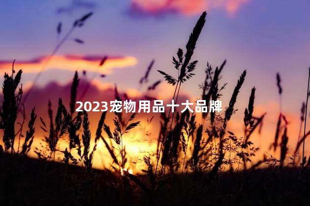 2023宠物用品十大品牌 十大热门宠物玩具